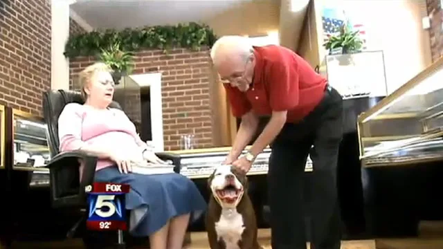 Hero dog saves owner’s life twice