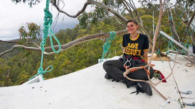 Miranda’s treetop vigil: I've spent 299 days up here