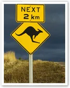 Yellow road sign warning of kangaroo crossings for the next 2 kilometers, set against a dark sky backdrop.
