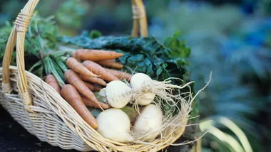 Basket of fresh carrots, turnips, and greens, representing organic produce.