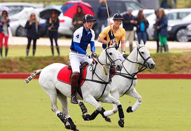 Two men playing polo on white horses, wearing helmets, one in blue and white, the other in yellow.
