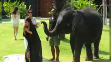 Female taking selfie with elephant, accompanied by others in a grassy area with trees in the background.