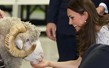 A woman smiling, petting a sheep with curled horns at an event indoors.