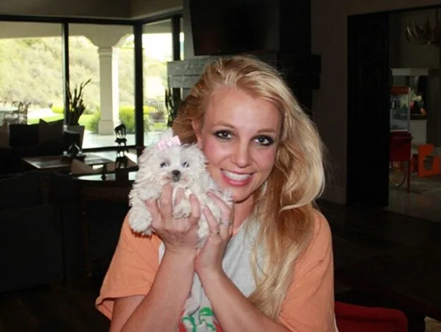A woman smiling and holding a small fluffy puppy with a pink bow, indoors with large windows in the background.