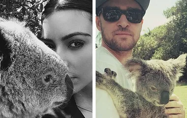Two individuals, each holding a koala, posing outdoors with greenery in the background.