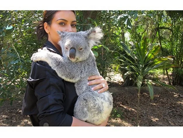 A woman holding a koala in a lush, green outdoor setting.