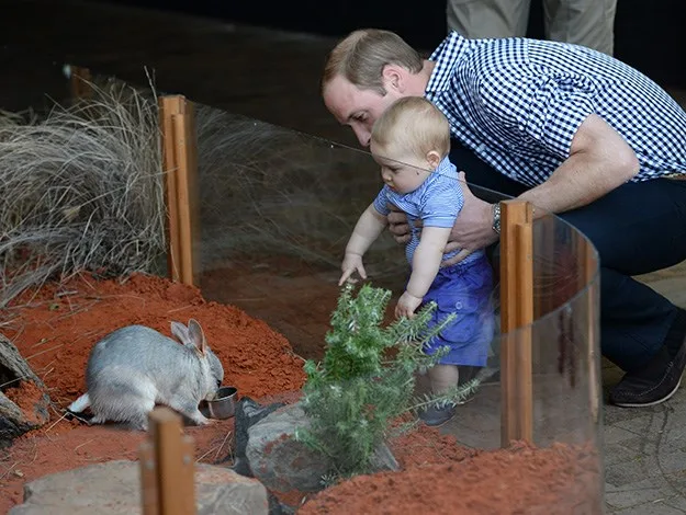Man holding a baby, both observing a small animal through a glass barrier at a zoo exhibit.