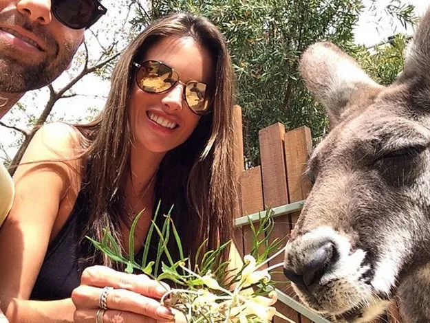A woman in sunglasses smiles while feeding a kangaroo with leafy greens; a man is partially visible beside her.