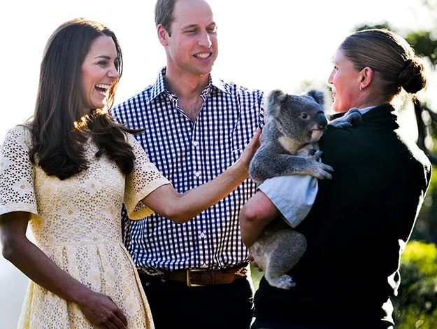 Couple smiling and petting a koala held by a zoo staff member outdoors.