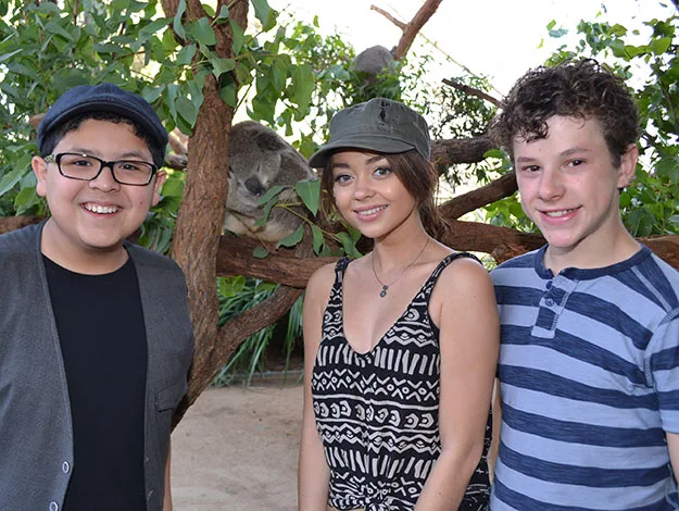 Three people smiling in front of a koala on a tree branch at a zoo.