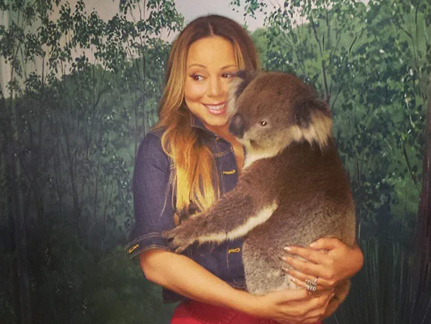 Woman smiling while holding a koala in front of a forest backdrop.