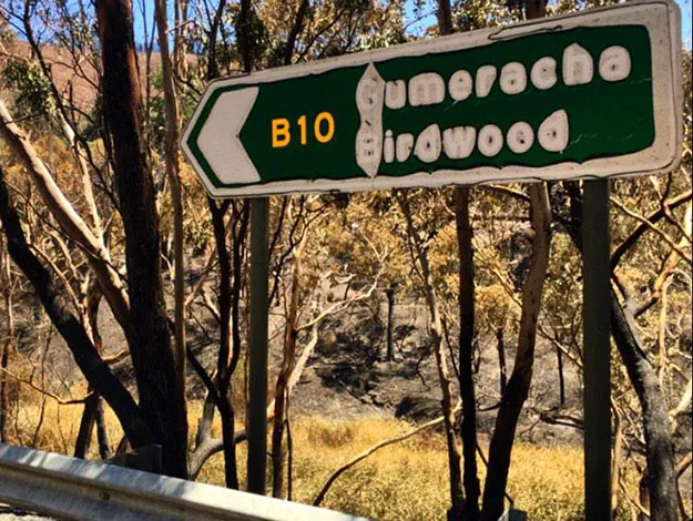 Road sign for B10 indicating direction to Gumeracha and Birdwood, with burnt trees in background.