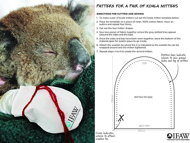 Koala sleeping with bandaged paw; sewing pattern for koala mittens on right. Instructions and IFAW logo included.