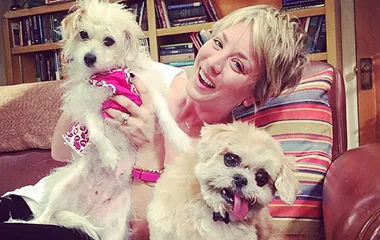 A person smiling and holding two small dogs, one wearing a pink bandana, sitting on a sofa with bookshelves in the background.