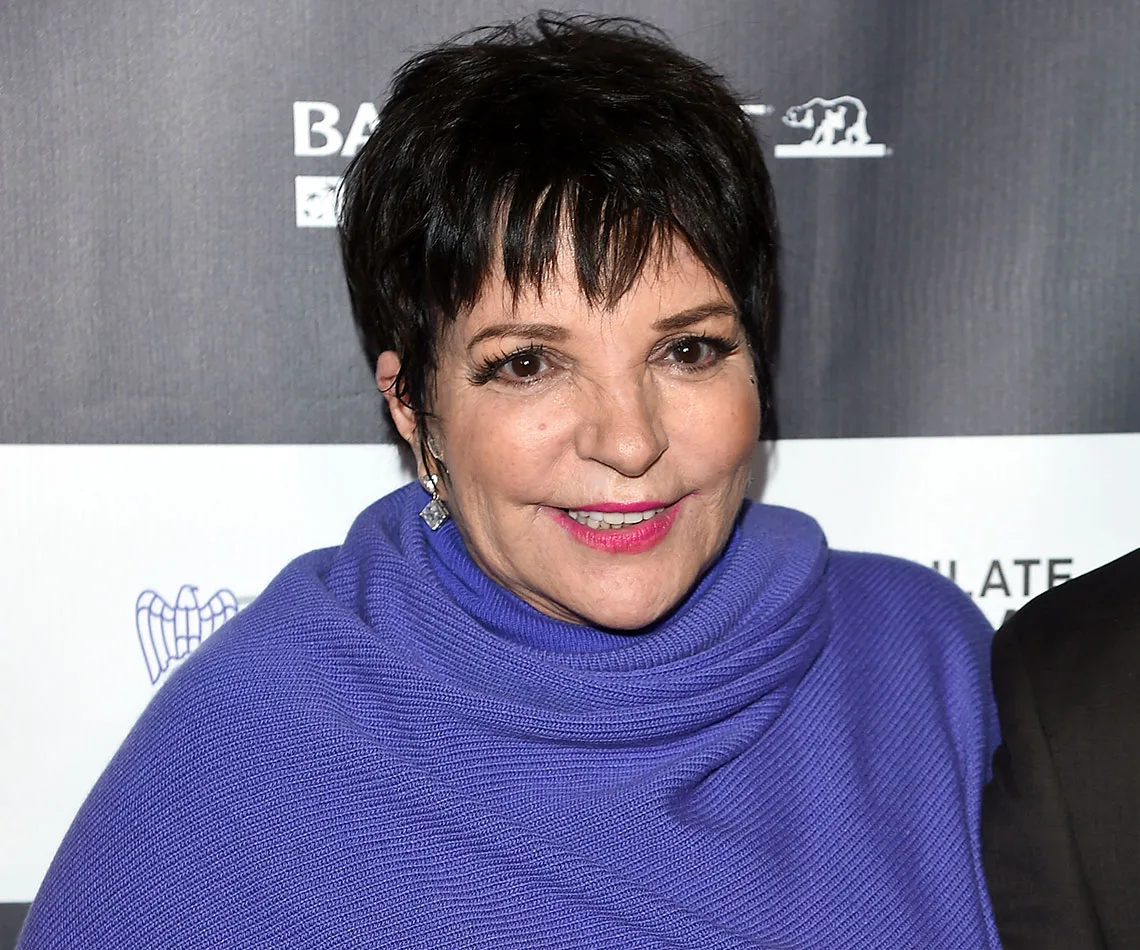 liza minelli rehard