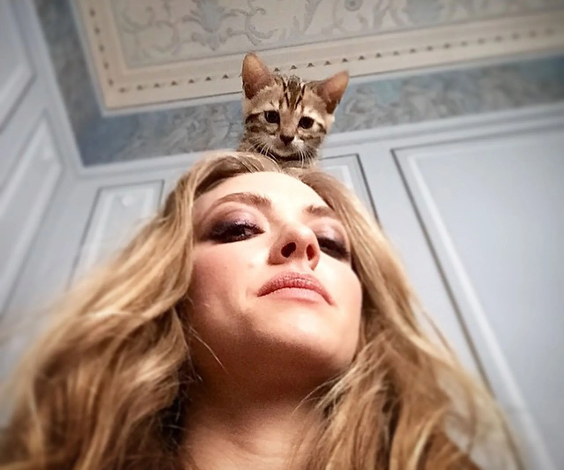 Celebrities share adorable pics with their pets.