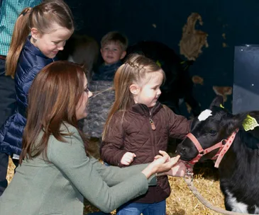 Family at a farm petting a young calf, with children watching and smiling.