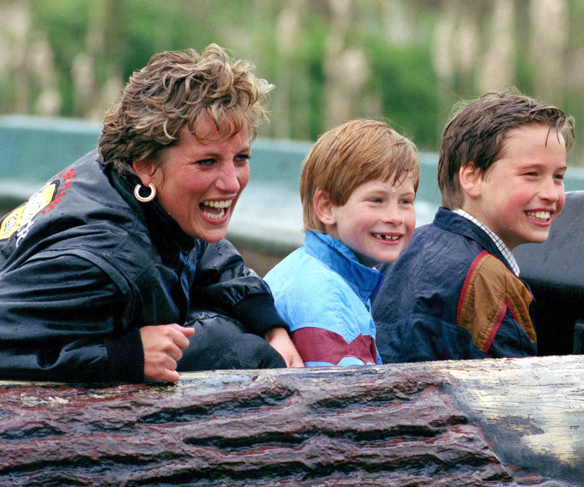 Princess Diana William and Harry