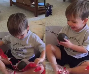 Henry and the avocado