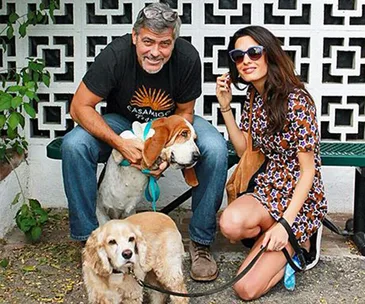 George and Amal Clooney 