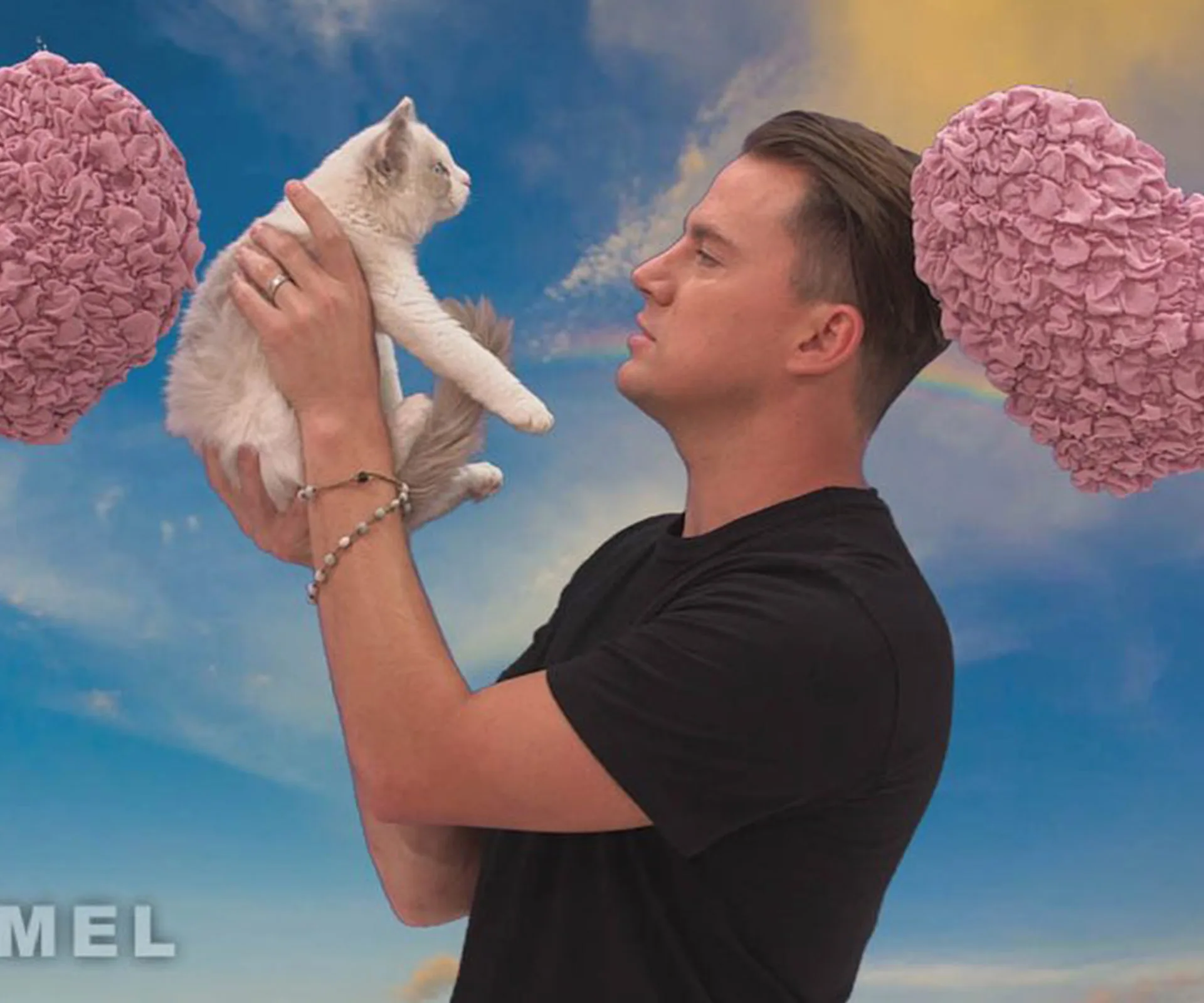 Channing Tatum, cat