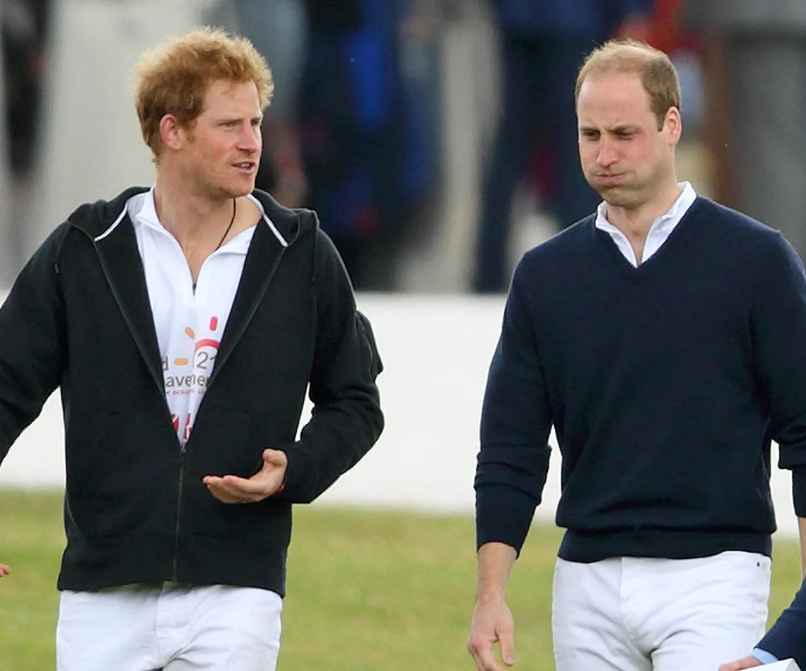 Prince Harry and Prince William