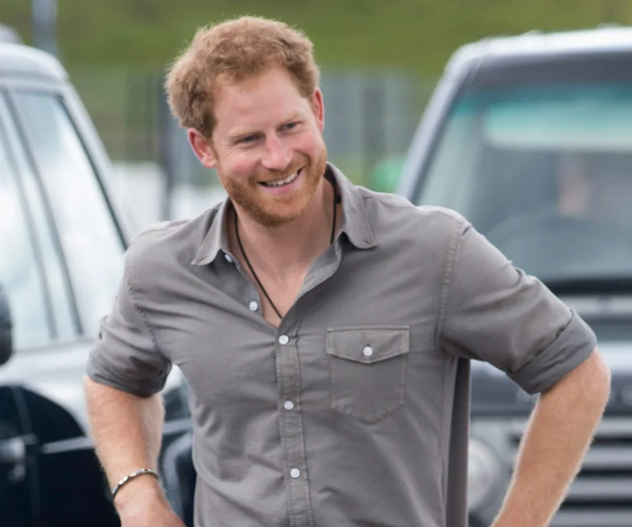Prince Harry uses chopper skills to save elephants