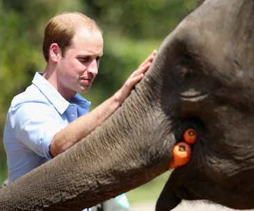 Prince William