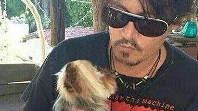 A person wearing sunglasses holds a small dog, looking down at it lovingly.