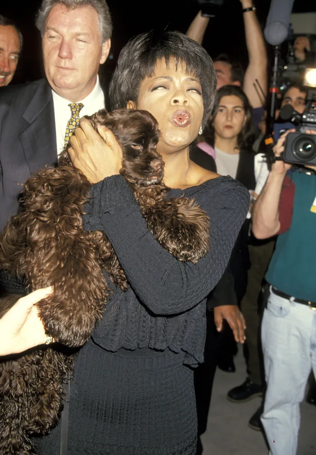 Person holding a brown dog, making a playful face, surrounded by a crowd and photographers.