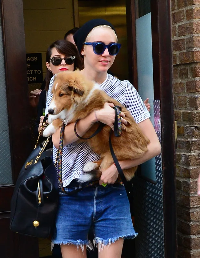 A person in sunglasses and a beanie holds a fluffy dog while exiting a building with another person behind.
