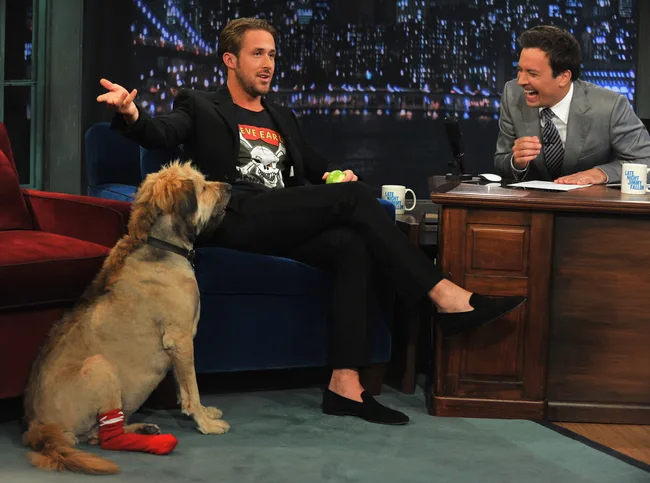 A man in a suit, sitting on a talk show set with a dog wearing a red sock, and the host laughing.