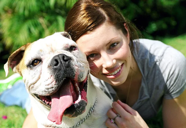 Woman smiling next to a happy bulldog lying on grass in a sunny outdoor setting.