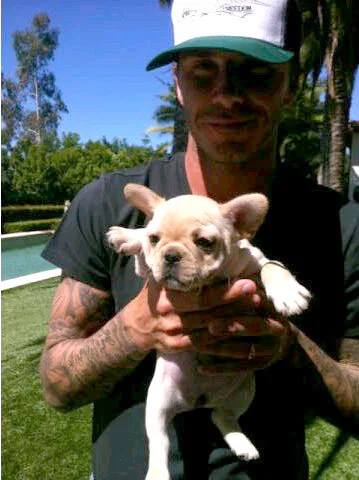 Man holding a small French bulldog puppy outdoors, with trees and a pool in the background.