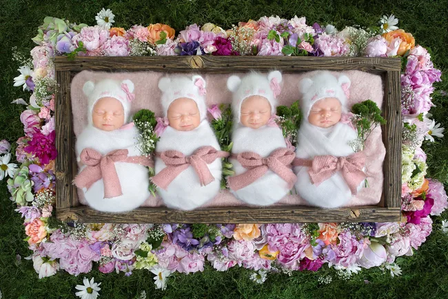 Four newborn babies swaddled in white, with pink bows and bear hats, lying in a floral frame on green grass.