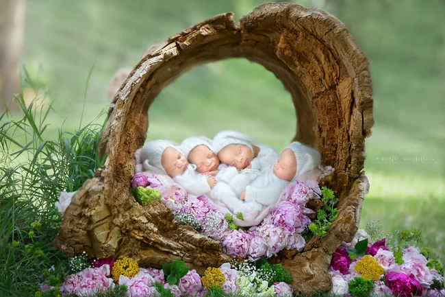Four sleeping babies in white outfits nestled in a log surrounded by pink flowers and greenery outdoors.