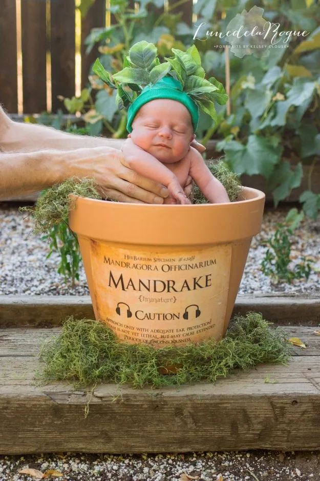 Baby dressed as mandrake plant in a pot, resembling a scene from Harry Potter, with leaves on its head.