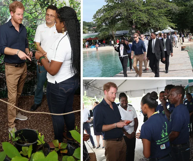 Man in blue shirt interacting with people at an outdoor event by the water, involving environmental discussions.