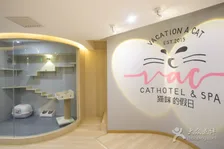 Luxury pet hotels around the world