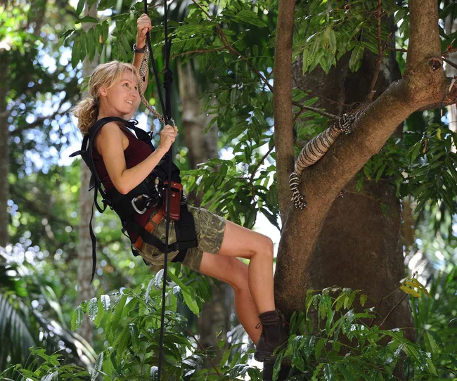 Woman climbing a tree in a forest using ropes and harness, wearing a maroon tank top and shorts, lizard on tree trunk.