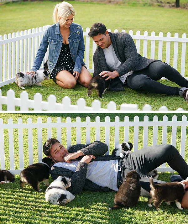Two people play with several puppies in a grassy pen, one lying down while the other kneels nearby.