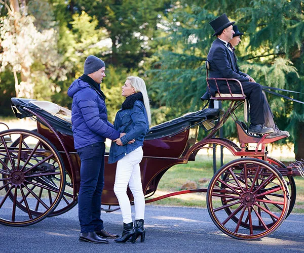 A couple holds hands in front of a vintage horse-drawn carriage with two drivers in formal attire on a scenic path.