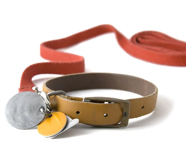 A brown dog collar with metal tags attached, lying beside a red leash.