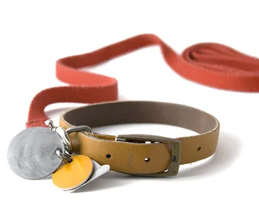 A brown dog collar with metal tags attached, lying beside a red leash.