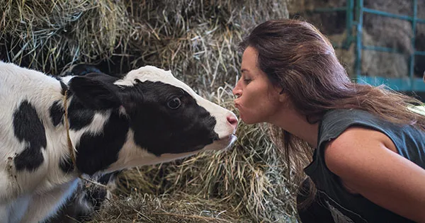 Ripper Real Life Podcast: Episode 7