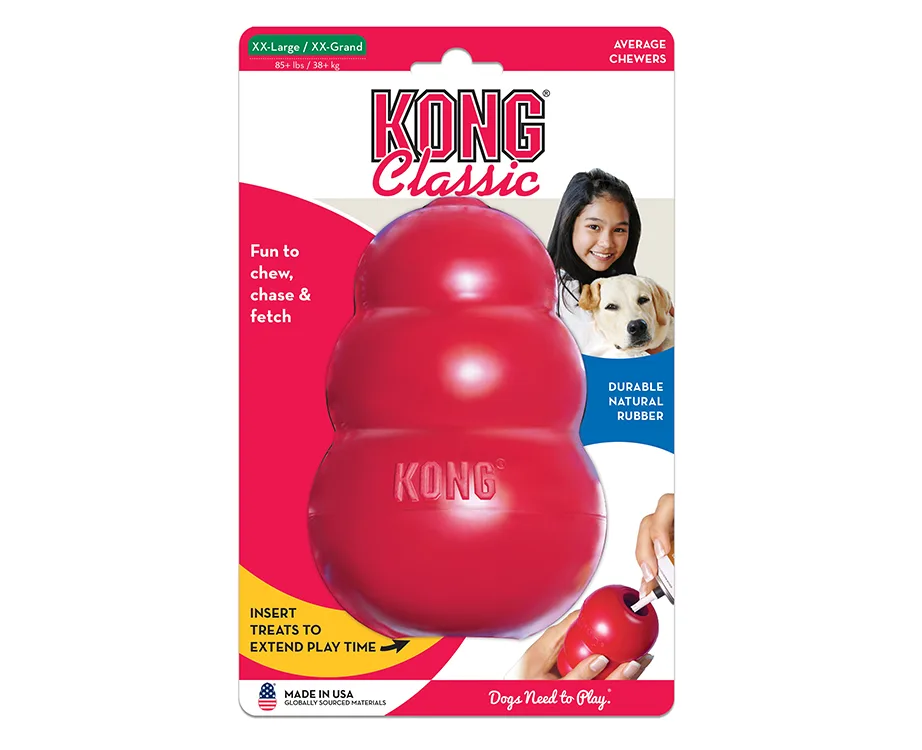 Four things every new dog owner should know