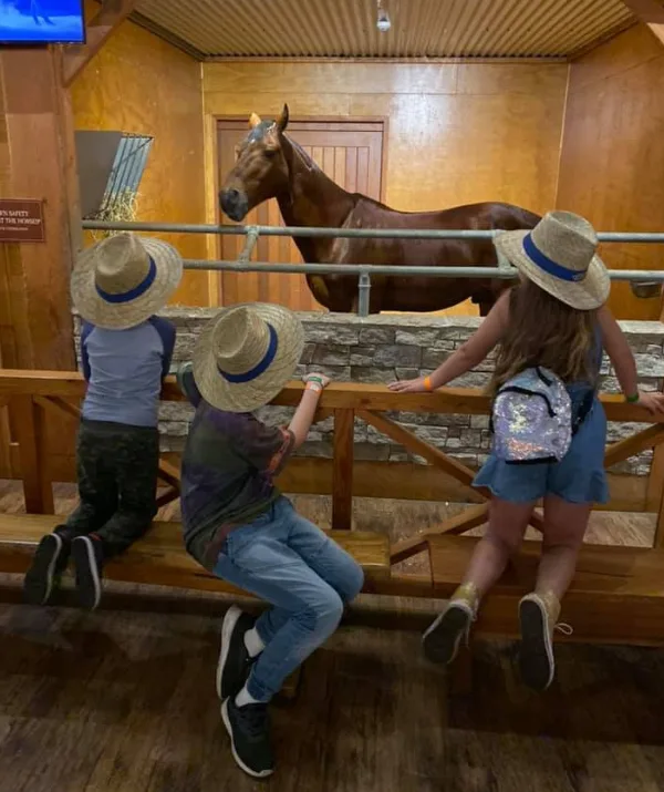 Children wearing straw hats look at a brown horse in a stable.