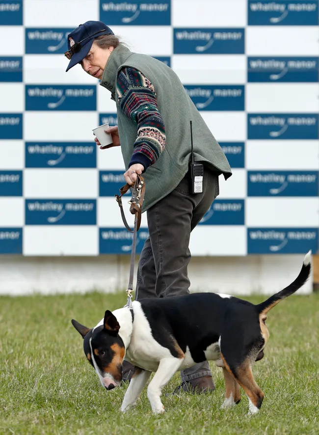 Man in cap and vest holding a cup, walking a black and white dog on grass, with a checkered backdrop.