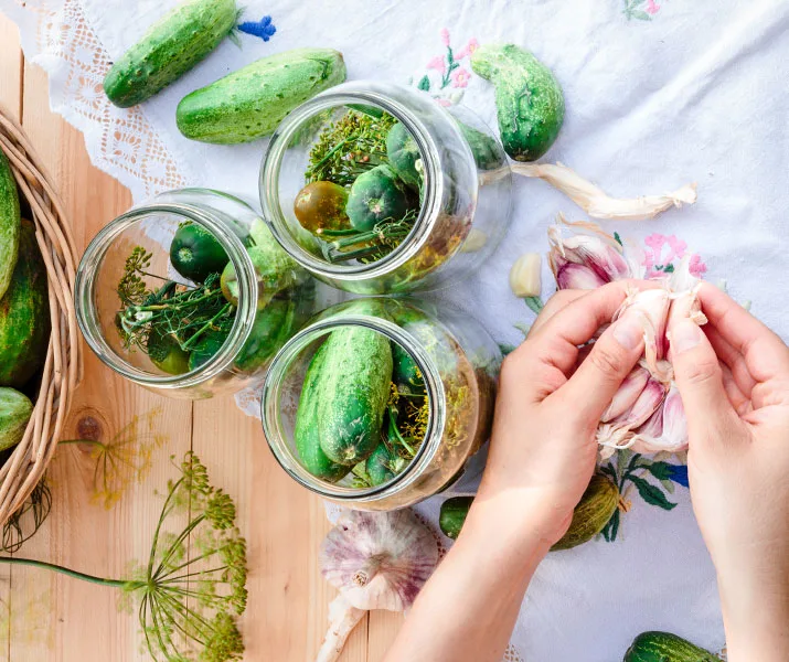 Hands peeling garlic next to jars of pickling cucumbers and dill on a wooden table.