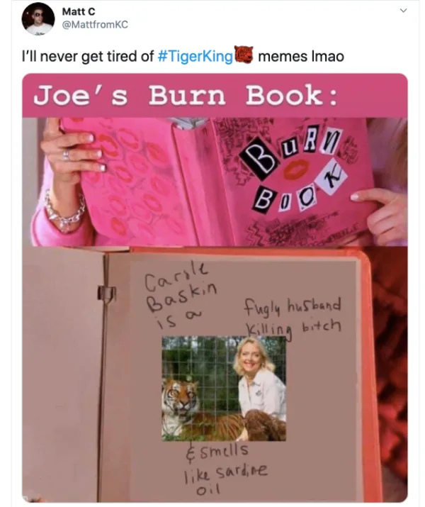 Meme combining "Mean Girls" Burn Book and "Tiger King," targeting Carole Baskin with humorous insults.
